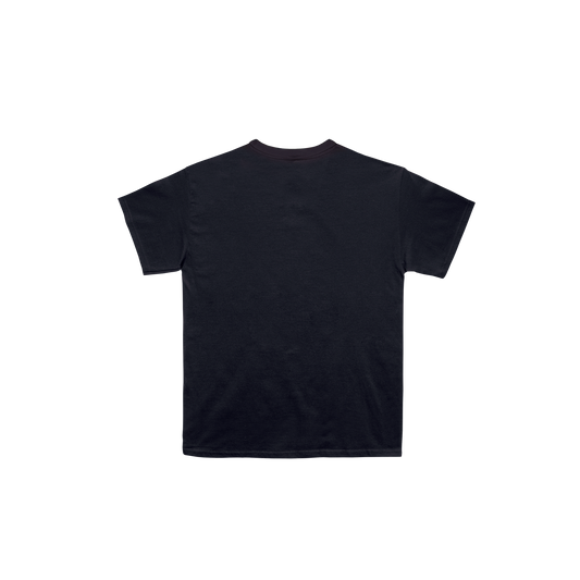 Camiseta La Insolación