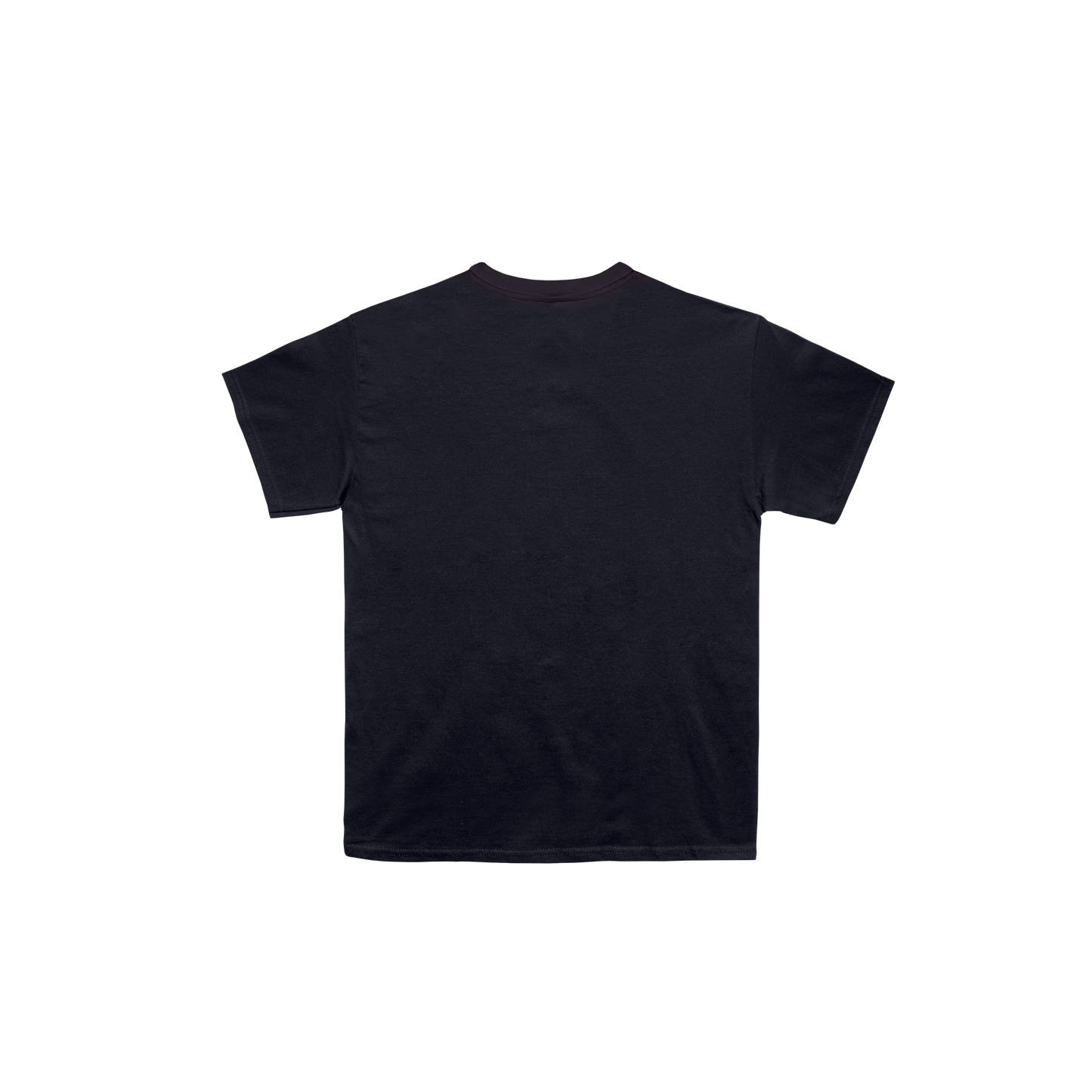 Camiseta La Insolación